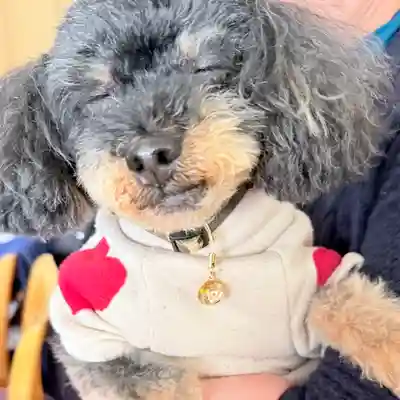 諏訪神社(宮城県)