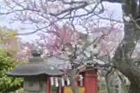 亀戸天神社(東京都)