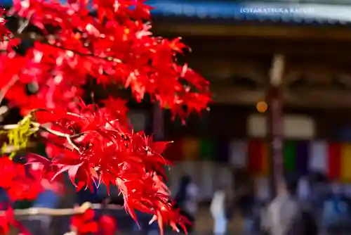 最乗寺（道了尊）(神奈川県)