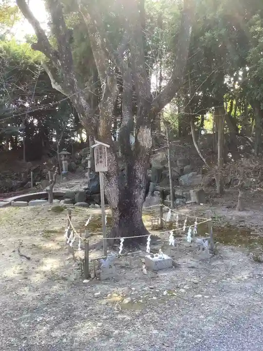 玉鉾神社の自然