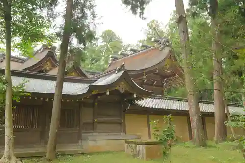 多賀大社の本殿・本堂