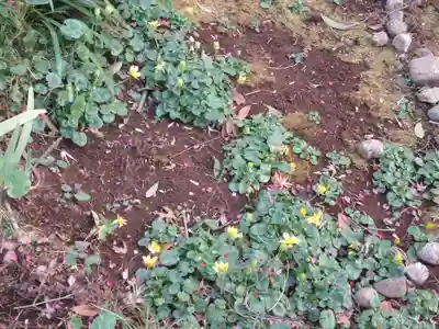 妙楽寺(神奈川県)