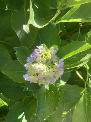 三輪神社の自然