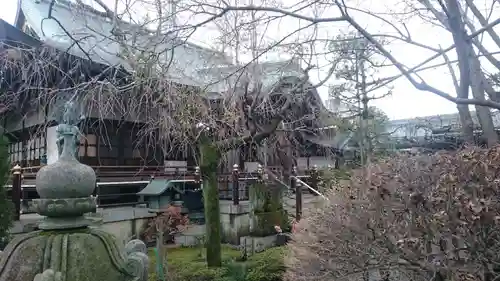 井口院の庭園