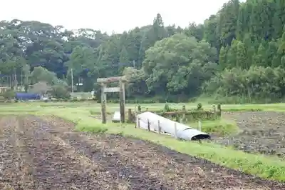豊玉姫神社の自然
