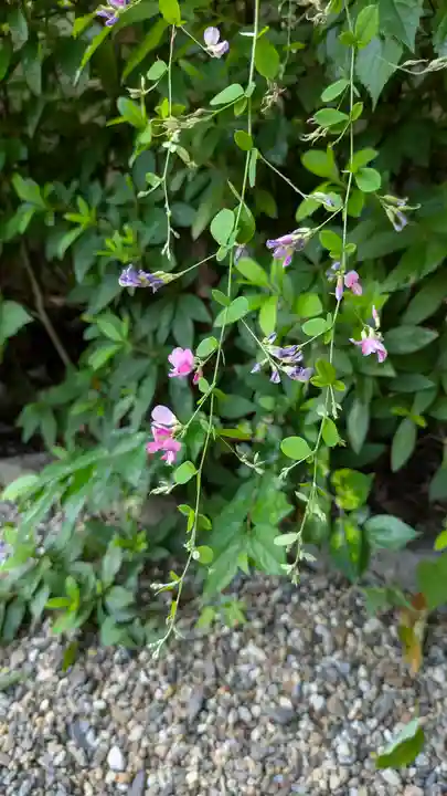 梨木神社(京都府)