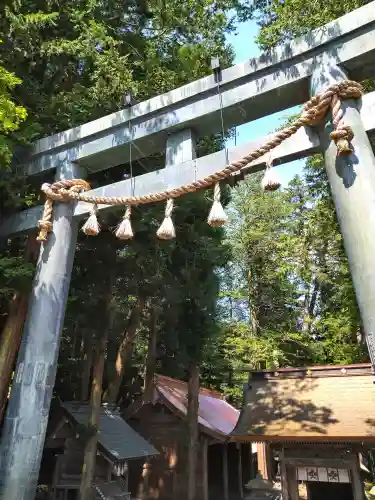 諏訪大社(長野県)