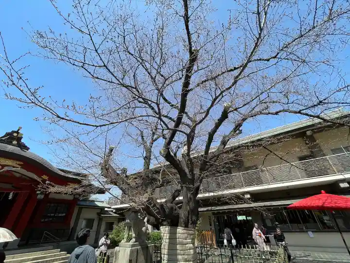 旗岡八幡神社(東京都)