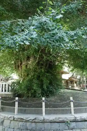 鶴嶺八幡宮(神奈川県)