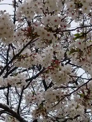 刺田比古神社(和歌山県)