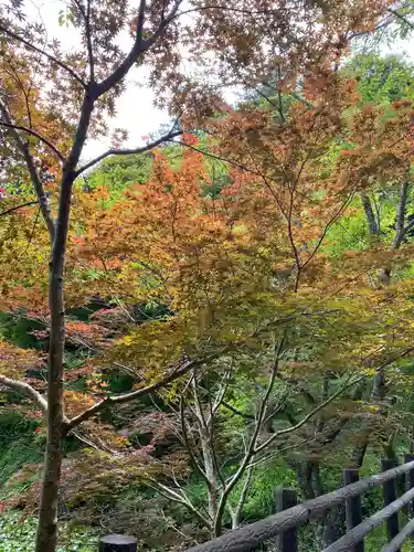 小松寺の景色