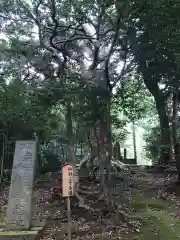 姉埼神社の歴史