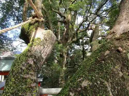 熊野那智大社(和歌山県)