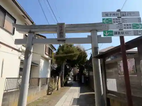 蛭子神社の{uncategorized: "未分類", other: "その他", undefined: "問題あり", building: "その他建物", grave: "お墓", sacred_gate: "鳥居", guardian: "狛犬", statue: "像", buddha: "仏像", history: "歴史", nature: "自然", garden: "庭園", animal: "動物", pagoda: "塔", temizu: "手水舎", mountain_gate: "山門・神門", sanctuary: "本殿・本堂", subordinate: "末社・摂社", art: "芸術", scenery: "景色", jizo: "地蔵", ema: "絵馬", goshuin: "御朱印", omikuji: "おみくじ", items: "授与品その他", amulet: "お守り", goshuincho: "御朱印帳", eats: "食事", festival: "お祭り", votive_dance: "神楽", shichigosan: "七五三参", wedding: "結婚式", experience: "体験その他", initially: "初詣", around: "周辺", anti_infection: "感染症対策"}