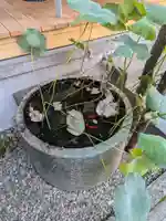 龍興院(東京都)