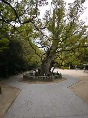 大山祇神社の{uncategorized: "未分類", other: "その他", undefined: "問題あり", building: "その他建物", grave: "お墓", sacred_gate: "鳥居", guardian: "狛犬", statue: "像", buddha: "仏像", history: "歴史", nature: "自然", garden: "庭園", animal: "動物", pagoda: "塔", temizu: "手水舎", mountain_gate: "山門・神門", sanctuary: "本殿・本堂", subordinate: "末社・摂社", art: "芸術", scenery: "景色", jizo: "地蔵", ema: "絵馬", goshuin: "御朱印", omikuji: "おみくじ", items: "授与品その他", amulet: "お守り", goshuincho: "御朱印帳", eats: "食事", festival: "お祭り", votive_dance: "神楽", shichigosan: "七五三参", wedding: "結婚式", experience: "体験その他", initially: "初詣", around: "周辺", anti_infection: "感染症対策"}