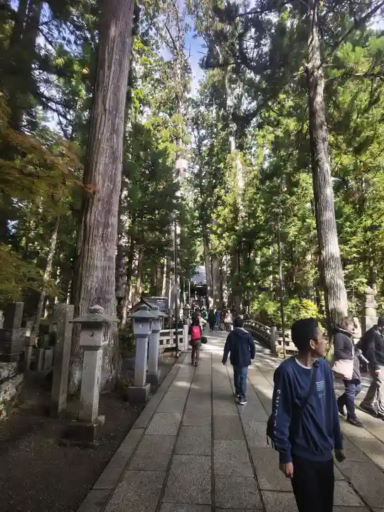 高野山金剛峯寺奥の院(和歌山県)