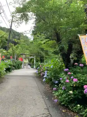 連祥院の鳥居