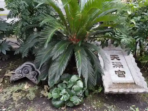 成子天神社(東京都)