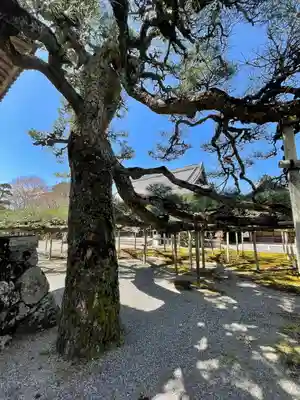 本誓寺(東本誓寺)(滋賀県)
