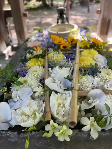 札幌護國神社の手水