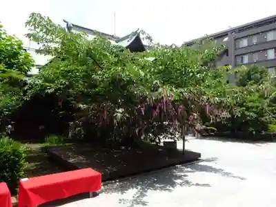 桜神宮のその他建物