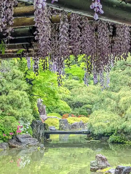 城南宮(京都府)