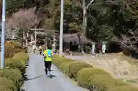 鹿島大神宮の体験その他