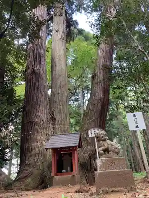 六社神社(千葉県)