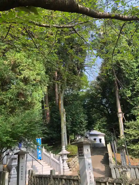 白山神社の自然