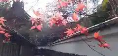 鍬山神社の自然