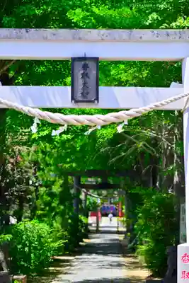 越谷香取神社の鳥居
