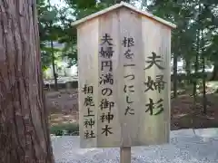 相鹿上神社の歴史