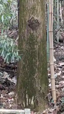 子ノ神社(東京都)