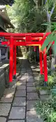 白笹稲荷神社の鳥居