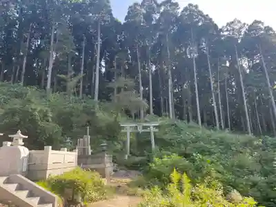 高天神社(千葉県)