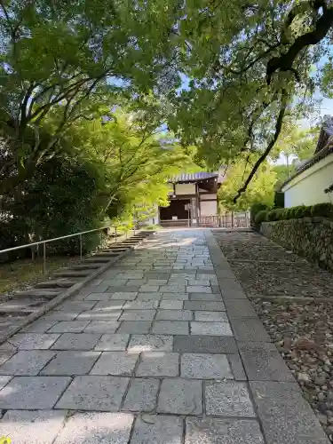 青蓮院門跡の{uncategorized: "未分類", other: "その他", undefined: "問題あり", building: "その他建物", grave: "お墓", sacred_gate: "鳥居", guardian: "狛犬", statue: "像", buddha: "仏像", history: "歴史", nature: "自然", garden: "庭園", animal: "動物", pagoda: "塔", temizu: "手水舎", mountain_gate: "山門・神門", sanctuary: "本殿・本堂", subordinate: "末社・摂社", art: "芸術", scenery: "景色", jizo: "地蔵", ema: "絵馬", goshuin: "御朱印", omikuji: "おみくじ", items: "授与品その他", amulet: "お守り", goshuincho: "御朱印帳", eats: "食事", festival: "お祭り", votive_dance: "神楽", shichigosan: "七五三参", wedding: "結婚式", experience: "体験その他", initially: "初詣", around: "周辺", anti_infection: "感染症対策"}