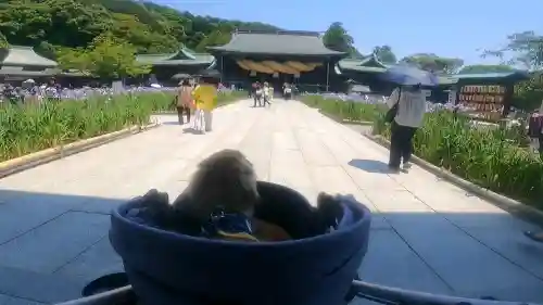 宮地嶽神社(福岡県)