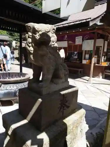 銭洗弁財天宇賀福神社の狛犬