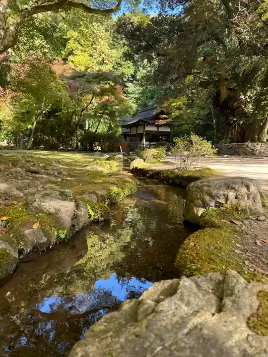 賀茂別雷神社(上賀茂神社)(京都府)