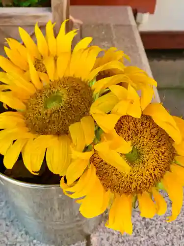 仙台大神宮の庭園