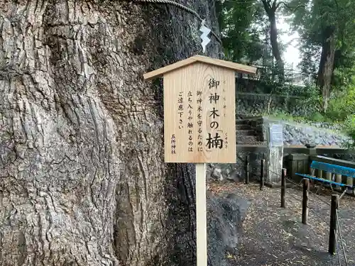 五所神社(神奈川県)
