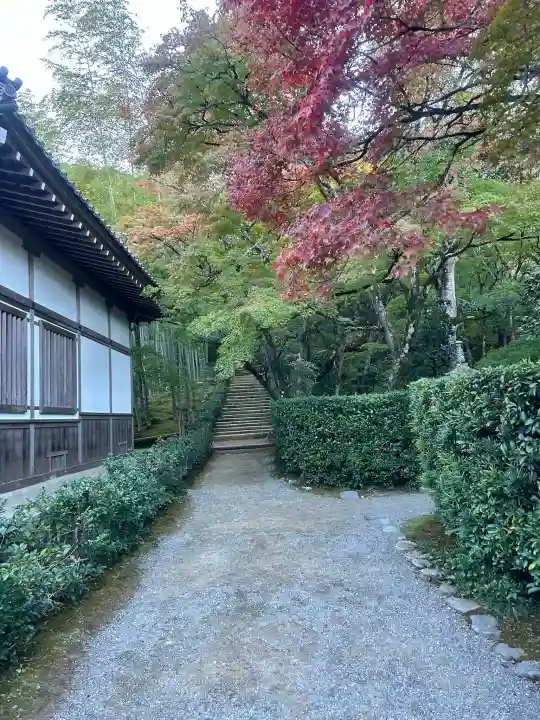 常寂光寺の{uncategorized: "未分類", other: "その他", undefined: "問題あり", building: "その他建物", grave: "お墓", sacred_gate: "鳥居", guardian: "狛犬", statue: "像", buddha: "仏像", history: "歴史", nature: "自然", garden: "庭園", animal: "動物", pagoda: "塔", temizu: "手水舎", mountain_gate: "山門・神門", sanctuary: "本殿・本堂", subordinate: "末社・摂社", art: "芸術", scenery: "景色", jizo: "地蔵", ema: "絵馬", goshuin: "御朱印", omikuji: "おみくじ", items: "授与品その他", amulet: "お守り", goshuincho: "御朱印帳", eats: "食事", festival: "お祭り", votive_dance: "神楽", shichigosan: "七五三参", wedding: "結婚式", experience: "体験その他", initially: "初詣", around: "周辺", anti_infection: "感染症対策"}