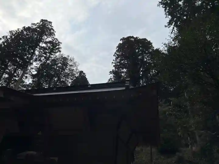 大宮温泉神社(栃木県)