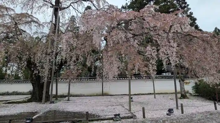 醍醐寺(京都府)