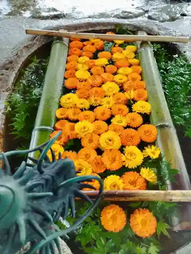 立志神社の手水舎