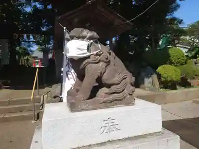 金ヶ作熊野神社の狛犬