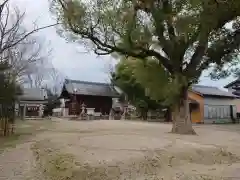 若一神社の建物その他