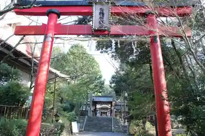 日根神社の鳥居