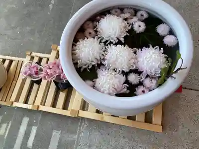 徳島眉山天神社(徳島県)